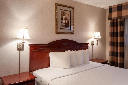 Studio City Court Yard Hotel image 23